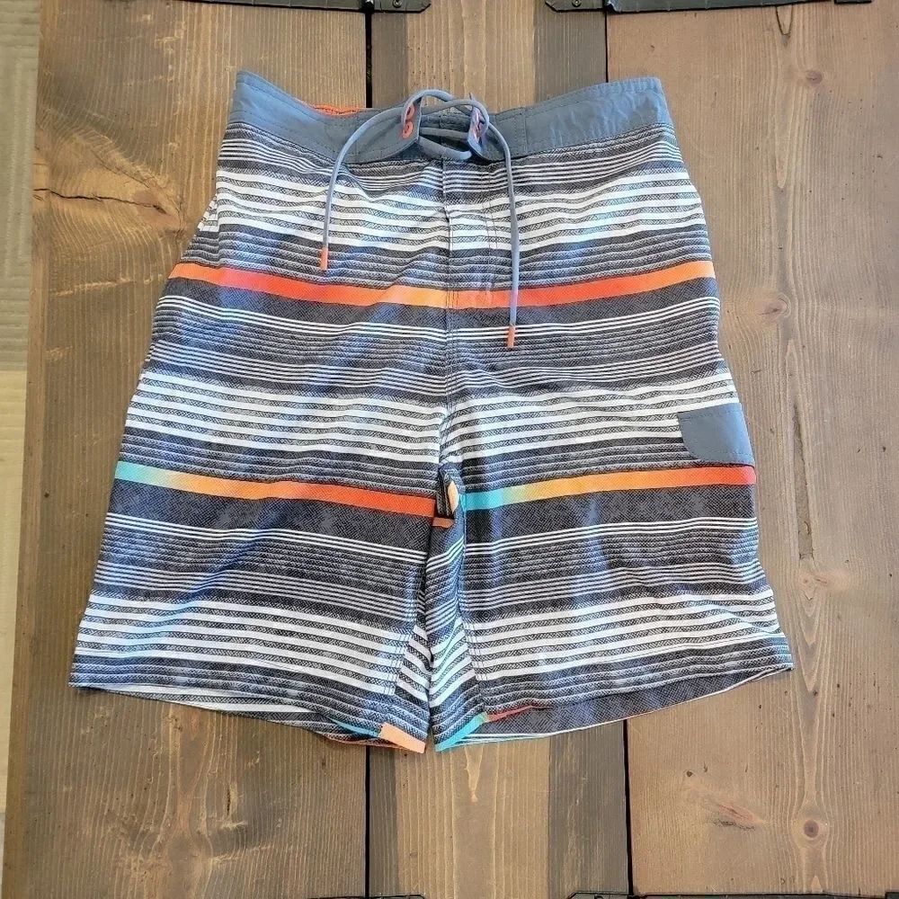 Men’s Speedo multi-color striped swim shorts board
